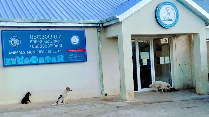 Municipal animal shelter