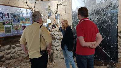Ergneti War Museum