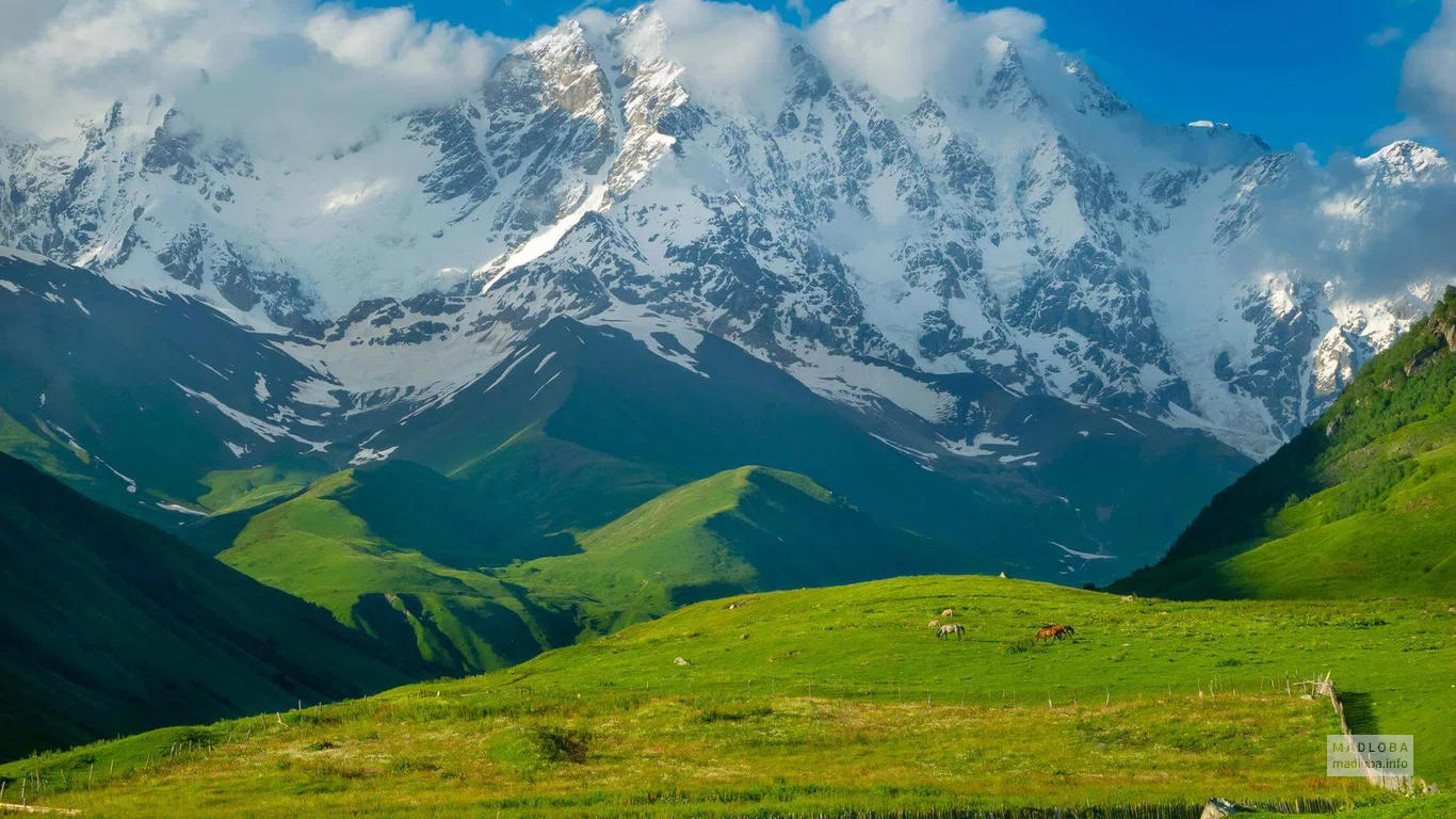 Поездки в горы Грузии с компанией MyTrips