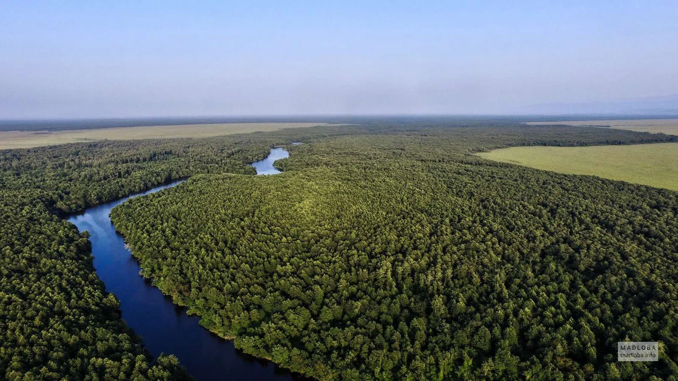 Река в Национальном парке Колхети