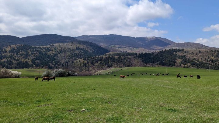 Algeti National Park