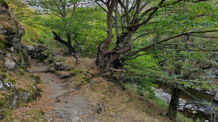 Algeti National Park