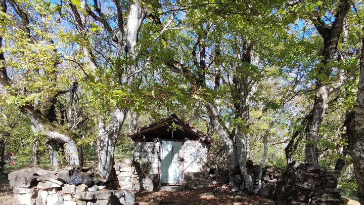 Babaneuri National Park