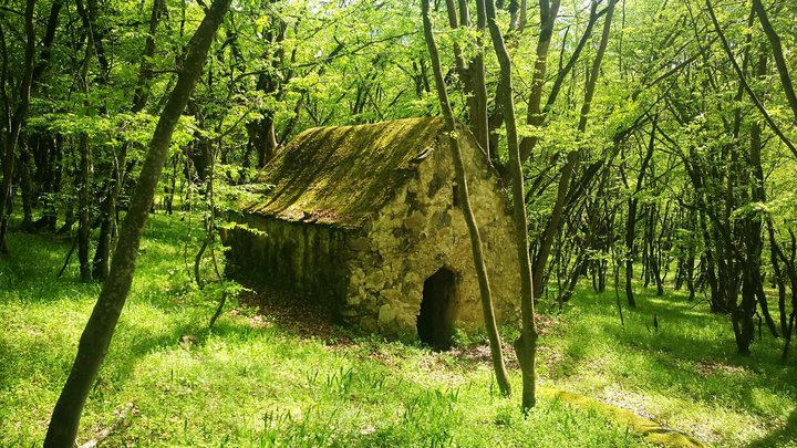 Babaneuri National Park