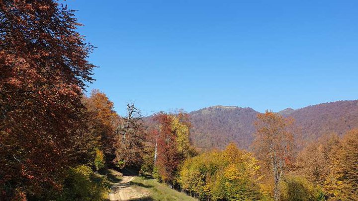 Batsari National Park