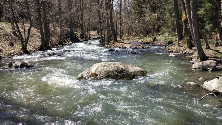 Borjomi-Kharagauli National Park