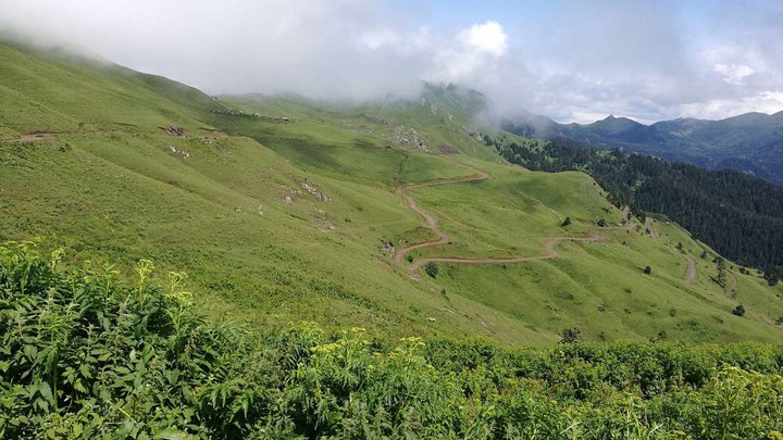Borjomi-Kharagauli National Park