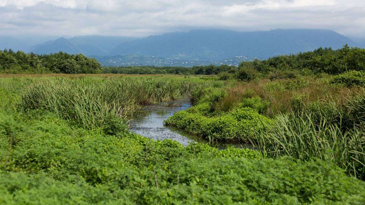 Kobuleti National Park