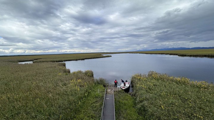 Kolkheti National Park