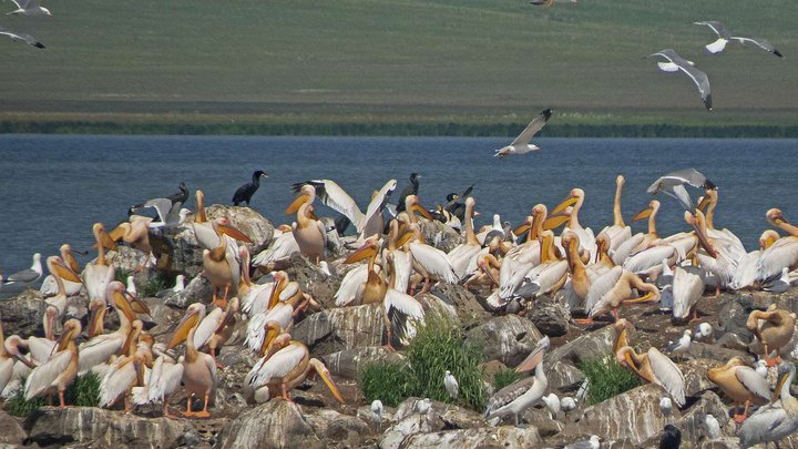 Madatapa National Park