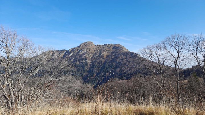 Niedzwi National Park