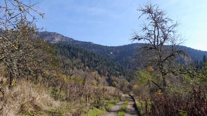 Niedzwi National Park