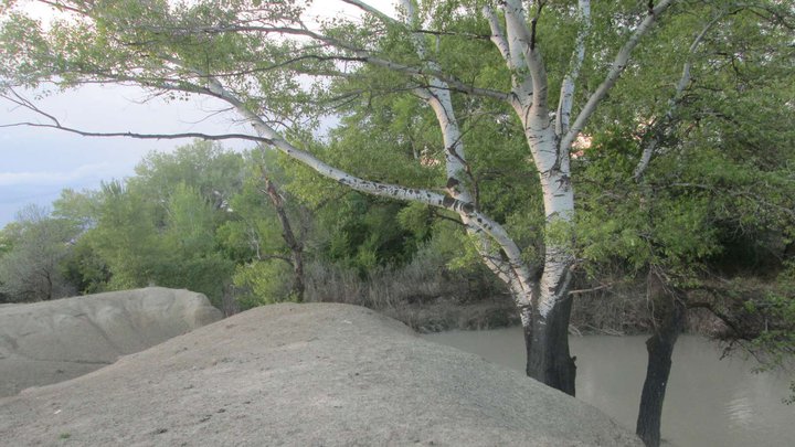 Yori National Park