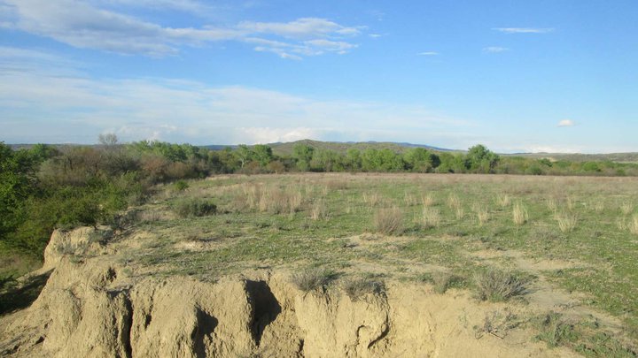 Yori National Park