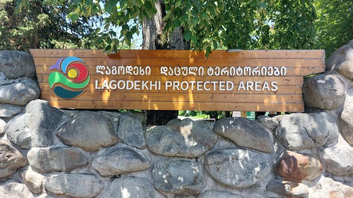 National Park in Lagodekhi