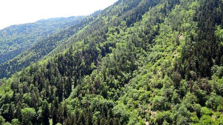 Nedzi and Chachuna: National Parks of Georgia