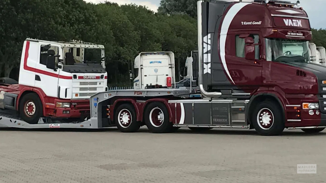 Автомобильный дилер "New Company"