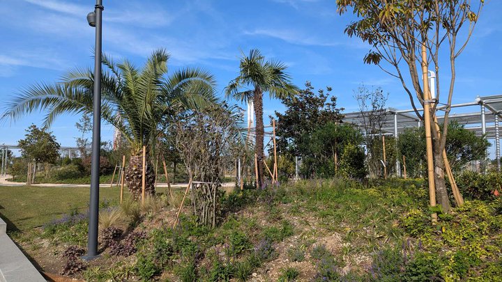 New Park