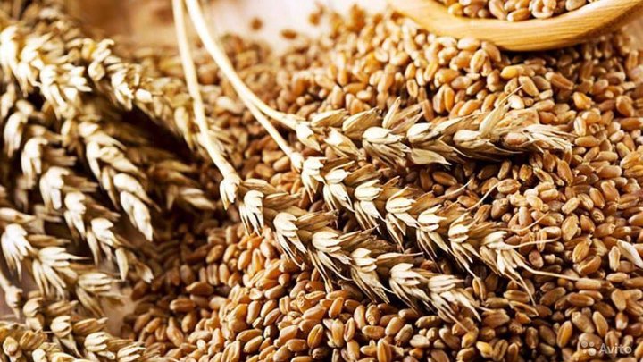 Agrosystems