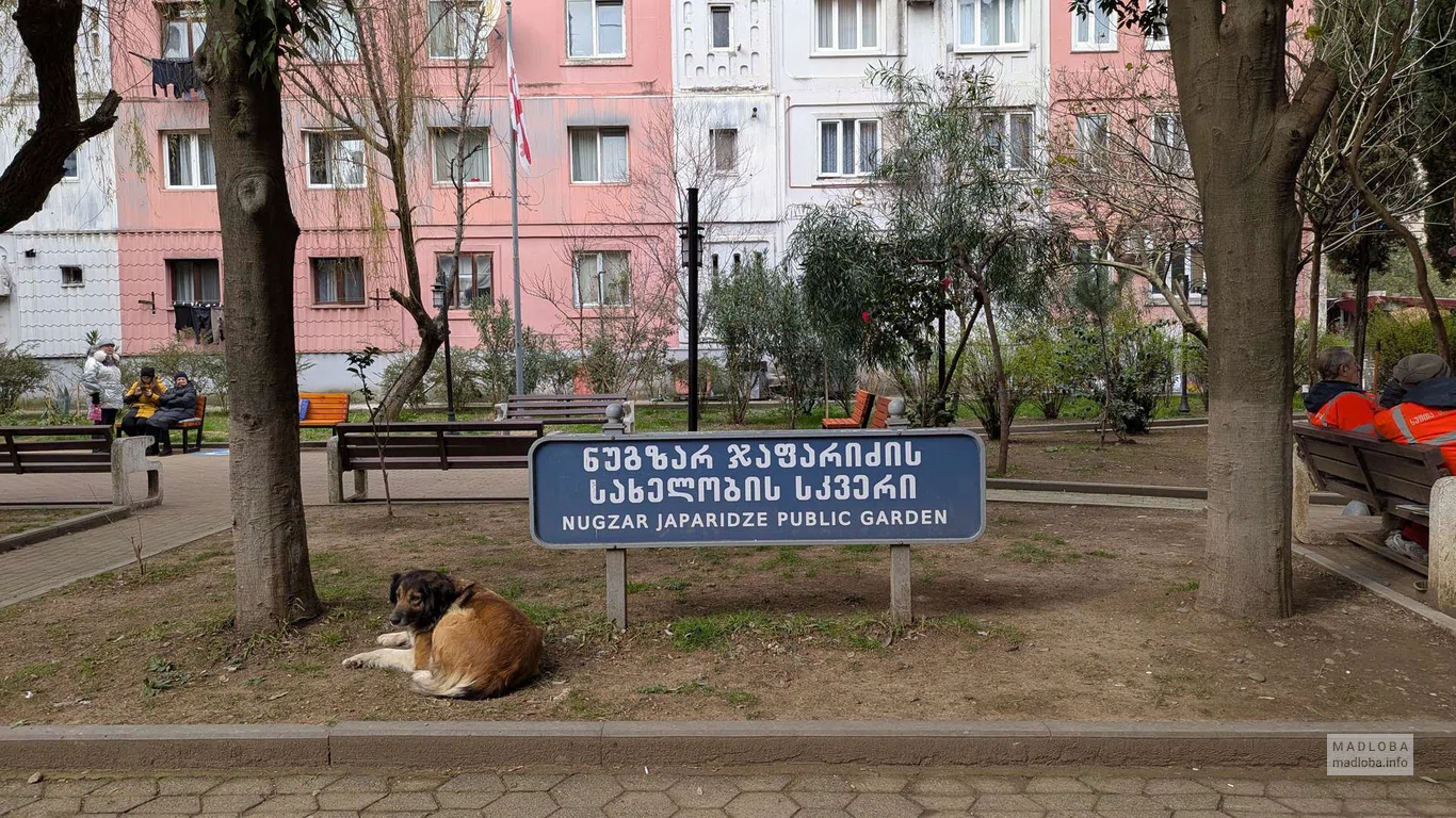 Сквер Нузгара Джапаридзе в Батуми