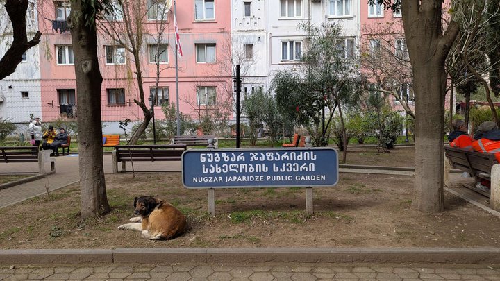 Nuzgar Japaridze Square
