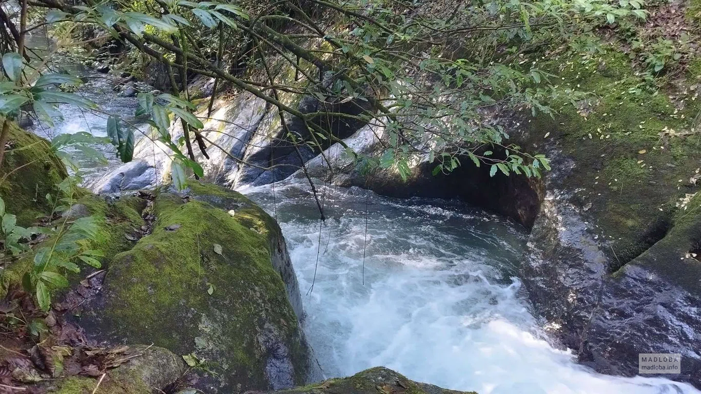 Oasis Gasamania