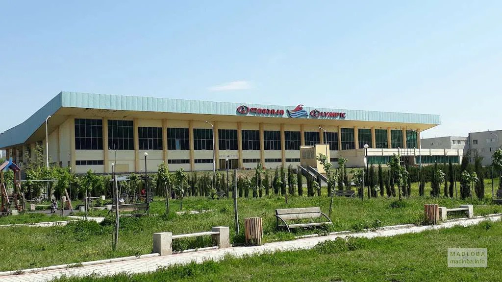 бассейн с дорожками "Olympic" в Тбилиси