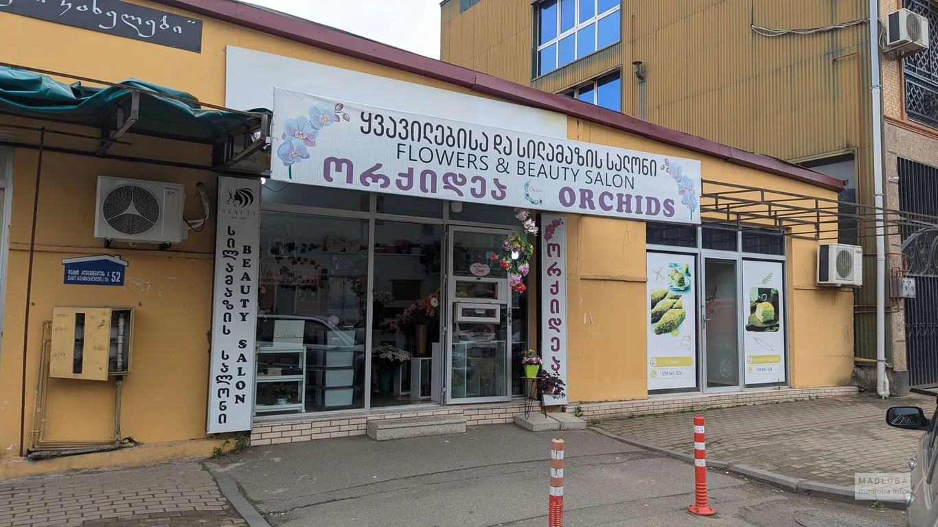 Салон красоты Orchids в Тбилиси — стрижки, укладки, уход