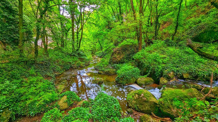 Eagle Gorge