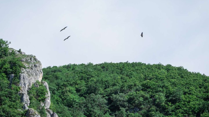 Eagle Gorge