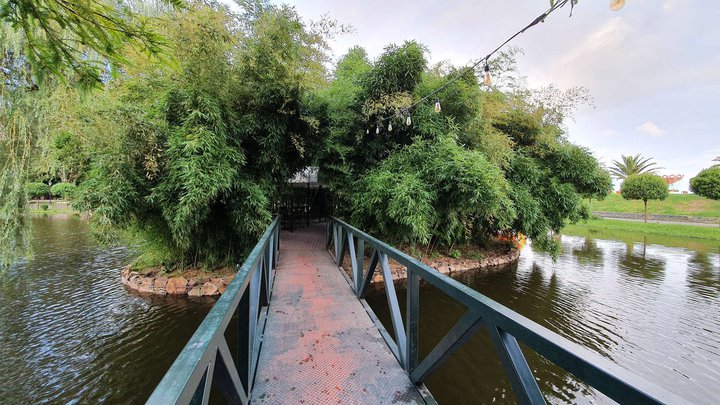 Island with a bamboo grove on Lake Ardagani