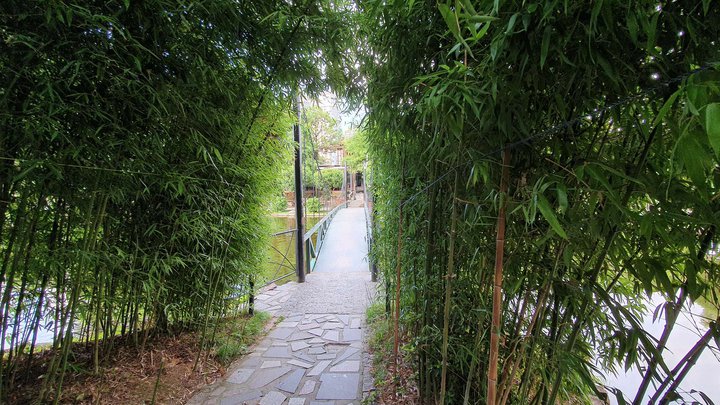 Island with a bamboo grove on Lake Ardagani