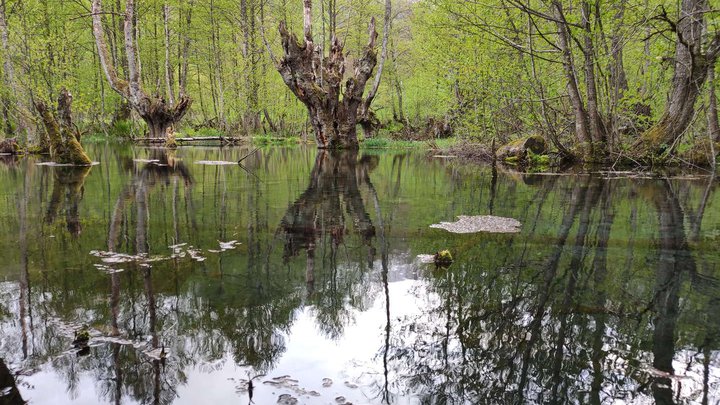 Lakes Kulbaki