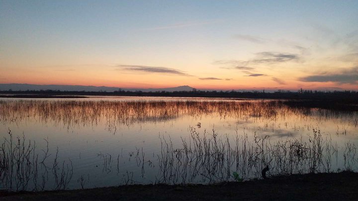 Lake Jandari
