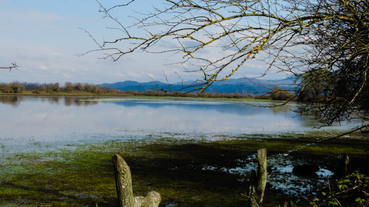 Lake Japan