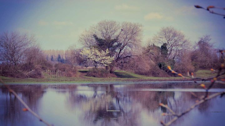 Lake Japan