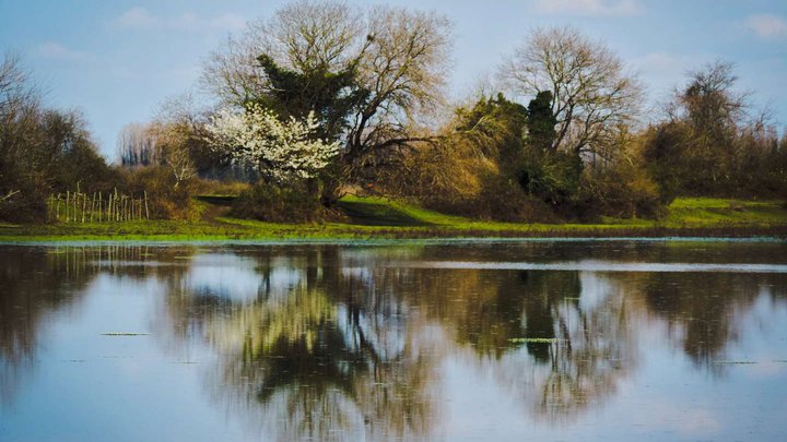 Lake Japan