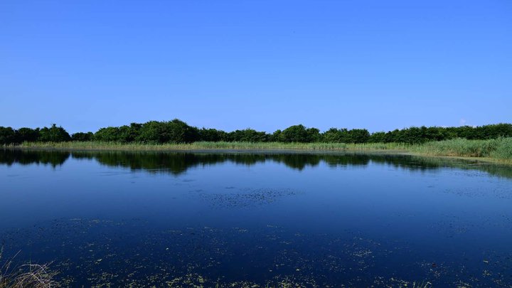 Lake Grigoleti