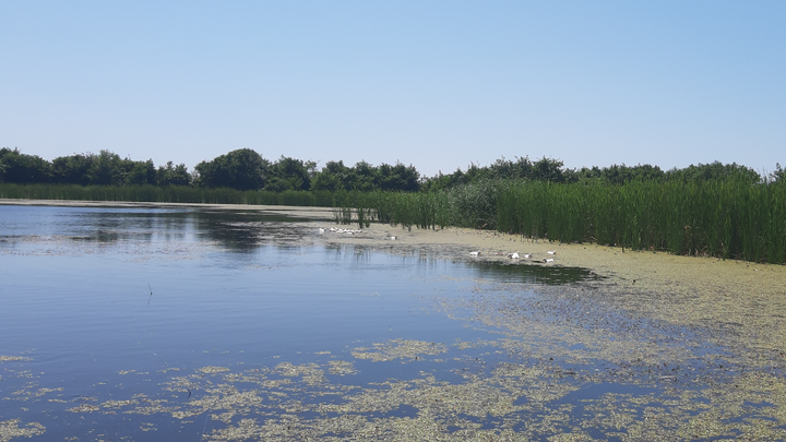 Lake Grigoleti