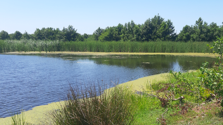 Lake Grigoleti
