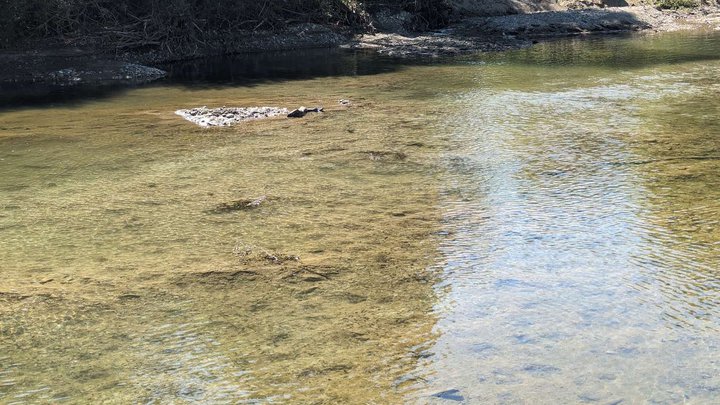 Lake Lipi