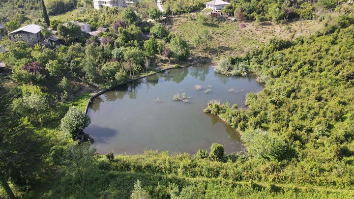 Lake Papantskvili