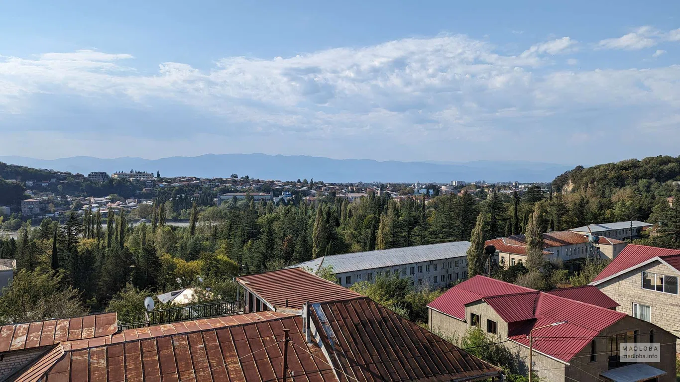 TG panorama