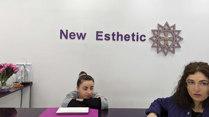 ახალი ესთეტიკა