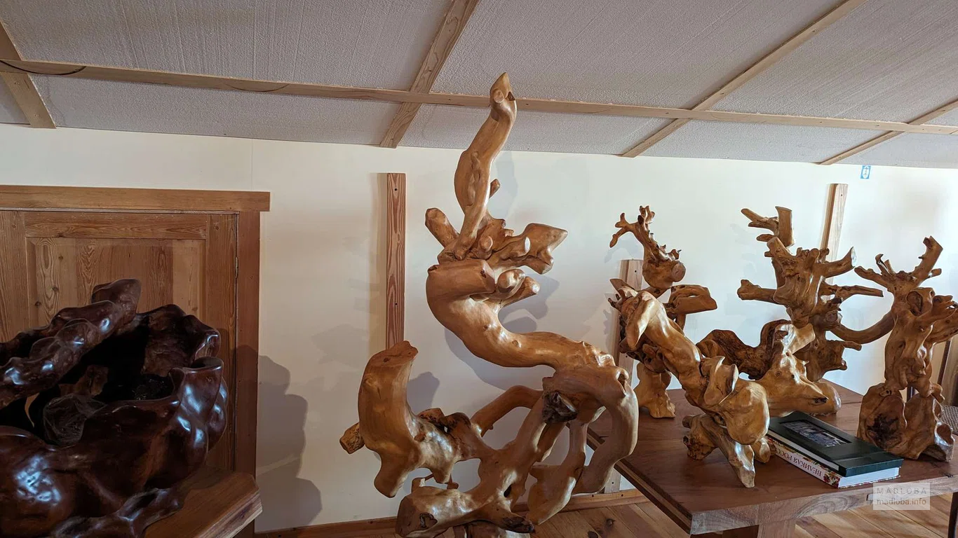 how in his hands the roots of ancient trees turn into sculptural masterpieces