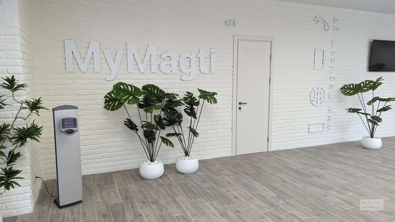 Офис оператора телефонной связи "Magti"
