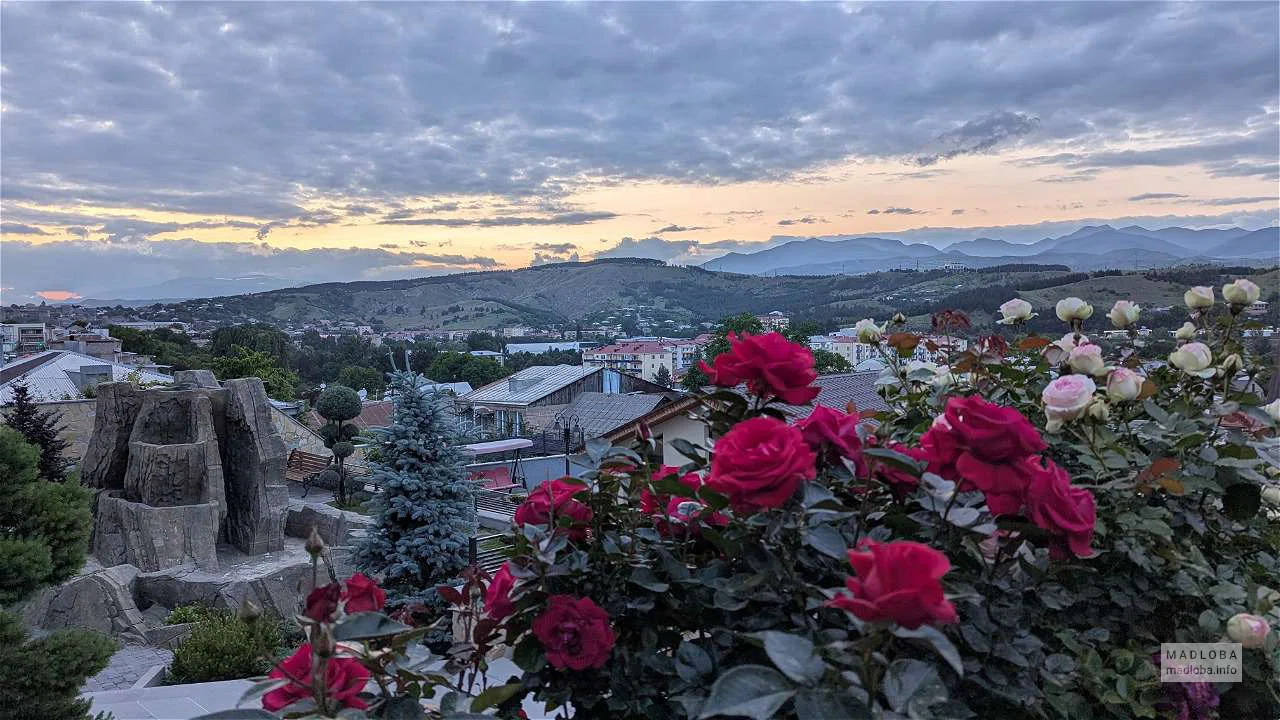 🏡 Тишина, простор и завтрак без шведского стола: честный обзор Terrace Akhaltsikhe