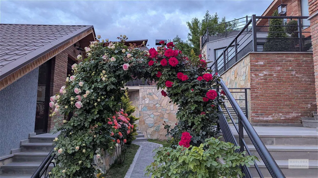 🏡 Тишина, простор и завтрак без шведского стола: честный обзор Terrace Akhaltsikhe