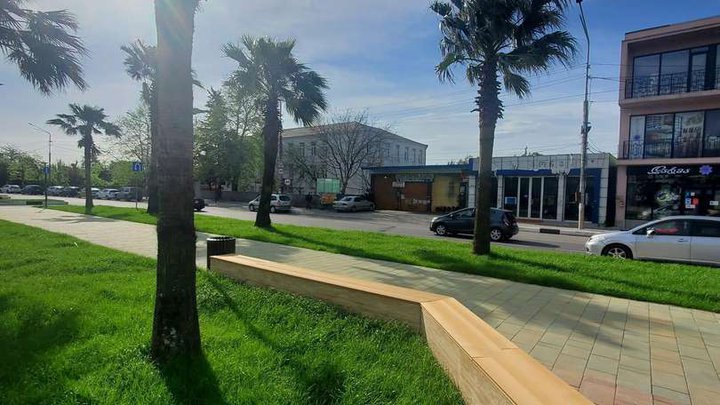 პალმების ხეივანი