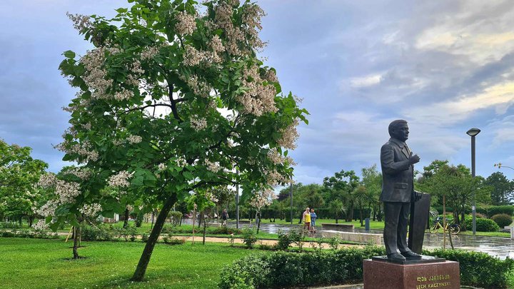 New Boulevard